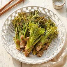 [더에셀팜] 재주문폭주 프리미엄 봄나물 참두릅, 1개, 500g