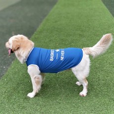 DFMEI 夏天大型犬狗狗衣服金毛衣服邊牧拉布拉多薩摩耶大狗衣服薄款, 1個, 藍
