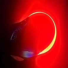 제이픽 LED 슈즈 밴드 발목안전밴드, 화이트