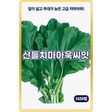 산들 치마아욱 씨앗 1650립 잎 넓고 추대 늦은 소량 아욱씨 종자, 1개