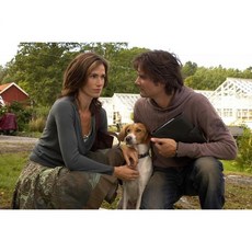 (LP) Tarantism Remastered