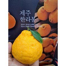 (과일천국1번지) 상콤달콤 고당도 한라봉 5과, 1개