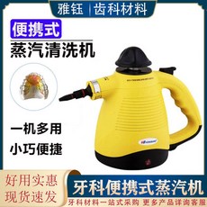 스팀 해빙기 스팀기 얼음 녹이기 동파 수도 녹이는기계 배관, 휴대용 스팀세척기, 1개