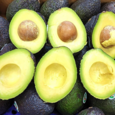 늘푸른농원 프리미엄 아보카도, 5개, 중대과
