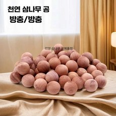 천연 100개 보관 냄새 시더 제품 의류 블록 제거, 1개