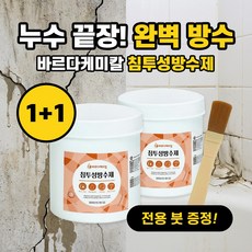 바르다케미칼 침투형 바르는 방수제 셀프 옥상 투명 발수 외벽 욕실, 2개, 300g