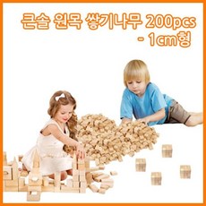 펜토미노 (큰솔교육) 소마큐브 카프라 가베 큰솔1cm쌓기나무200pcs 큰솔1cm정육면체200pcs, 1개