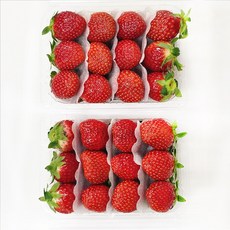 햅피팜 당도선별 딸기 설향 고당도 생 딸기, 1개, 특품 2kg