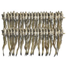 1등급 명태 줄노가리 80급 100급 2줄 40마리 중부시장도매, 1개, 100급(40마리)