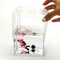 마리모어항 마리모키우기 블럭 미니어항 마리모 키우기 투명