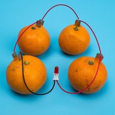 LED 램프 과일전지 구리 아연판 전극 전기실험키트 과학실 실험용 전기발생 수업 원리