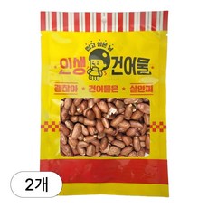 [인생건어물] 볶음땅콩 100g 견과류 대용량 업소용, 2개