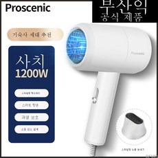 DFMEI 헤어 드라이어 음소거 헤어 케어 음이온 가정용 헤어 드라이어 저전력 500W 헤어 드라이어, Pusanic 1200W [블루라이트 헤어케어]