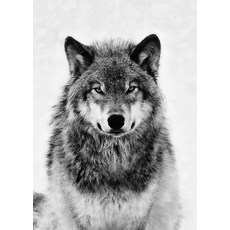 흑백 야생 동물 캔버스 벽 예술 사자 팬더 코끼리 말 늑대 미니멀리스트 초상화 프레임, F. 55x80cm Unframed