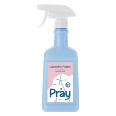 프레이포잇 효소 얼룩제거 빨래 속옷세제 비건 인증 섬유보호 세탁폼 세제, 500ml, 1개