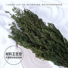大地農園 雪松 日本花柏 小份量聖誕素材【台灣現貨速發】聖誕節裝飾DIY, 0132-2-780 綠色10-12Ｇ, 綠色