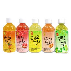 웰그린 과일맛 녹차 5종세트 1개, 1