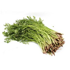 향긋한 청도미나리, 500g, 1개