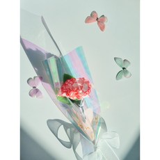 라인 카네이션 오로라 2송이, 1개