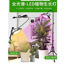 화초 성장등 식물 조경 다육 베란다 재배 스펙트럼, 레드 블루 빛 200W 1.5m 케이블, 1개