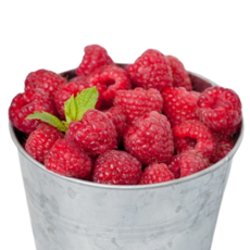 [억수로상회] 산지직송 25년 햇 산딸기 (급냉) 대용량 3kg, 1개