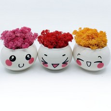 SCANDIAMOSS 可愛的表情鍋鍋, C組