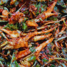 싱싱한 제철 햇고들빼기김치_전재료국산, 1세트, 500g