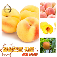 [굿피플] 고당도 천상의맛 햇복숭아 복숭아 하우스복숭아, 1박스, 털복숭아 4kg 19-20과 (딱딱이,황도,백도 랜덤)