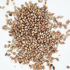 日生元 熟大麥茶 600g, 1個, 重焙