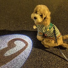 모츄츄 미우펀 소셜 프로젝션 반려동물 보안등 글로우 펜던트 강아지 목걸이, 1개, pink