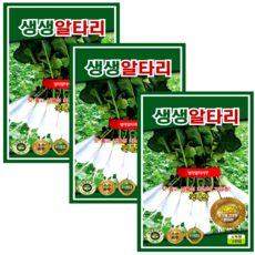 생생 알타리씨앗 (2000립x3) 국내산 아삭 달콤 총각무 김장 채소씨앗, 3개