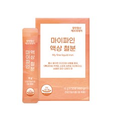 마이파인 액상 철분 장인정신 에브리데이, 450g, 1박스