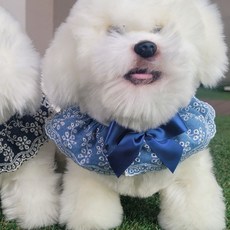 [이오] 반려견케이프 강아지패션아이템 강아지케이프 반려견스카프 애견악세사리 애견스카프 반려동물악세사리, 진청색 S