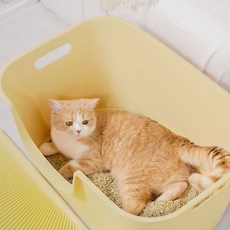 망고 고양이 화장실 배변통 변기 항균 리터박스 대형, 1개, MF-921 고양이 화장실