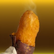 [해남농장]호풍미 호박고구마, 1박스, 특상(120~300g) 3kg