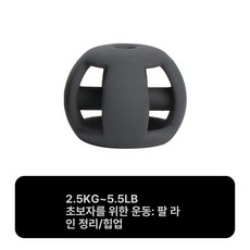 케틀벨 홈트 덤벨 플로우벨 아령 피트니스 트레이닝, 2.5KG, 1개, 1g