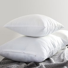 달잠 국내생산 지퍼형 빨아쓰는 베개솜 3Size, 2개, 화이트
