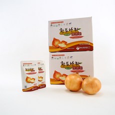 황토나라양파즙 물없이 갈아만든 100% 원액양파즙 100ml, 120개