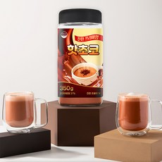 웰리즈 진한 프리미엄 핫초코 350g