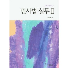 민사법 실무. 2, 박영사, 김차동