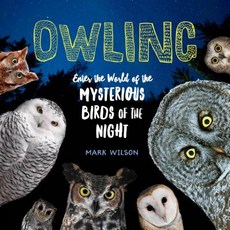 Owling: Enter the World of the Mysterious Birds of the Night Hardcover, Storey Publishing, English, 9781612129624