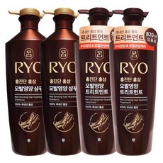 려 홍진단 홍삼 모발영양(샴푸2+트리트먼트2), 1개, 820ml