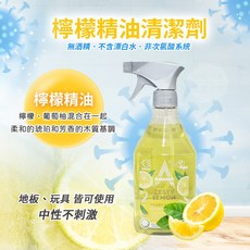Astonish 除霉清潔劑 有發票 浴室/廚房/皮革清潔, 1個