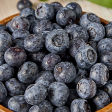 돌쇠네 당도와 과즙이 풍부한 칠레 생블루베리, 6개, 125g