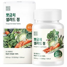 뽀금치 식이섬유 41g 샐러드 정, 1개, 120정