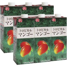 주시 트로피컬 망고 1000ml×6병, 1L