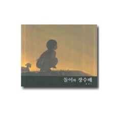 돌이와 장수매, 나미북스