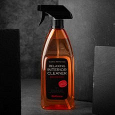 차량 내장재 색상복원 자동차 실내 세정제, 1