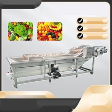 고추 과일 야채 세척기 업소용 대용량 자동 고압 버블 세척기, 1. 실버