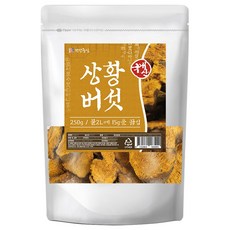 건강중심 국산 상황버섯, 1개, 250g